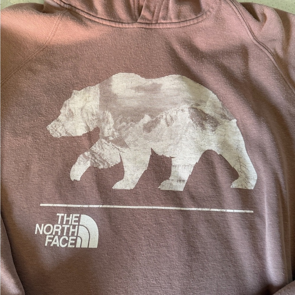 The North Face Mauve Pink Bear Graphic Hoodie